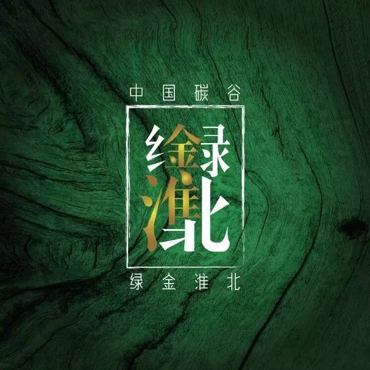 中国碳谷绿金的手抄报