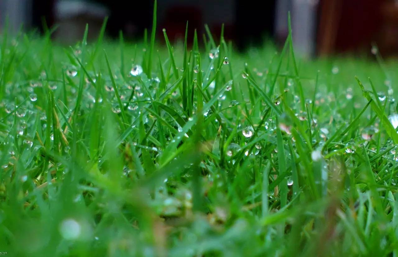 绿色中国 | 雨后初秋的婺源,宛如上天遗落在人间的