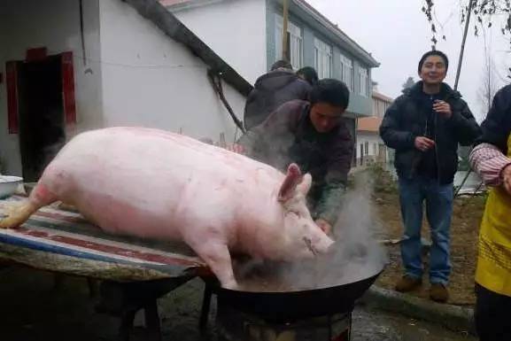 中国杀猪考验的是真正的技术外国人杀猪就靠它