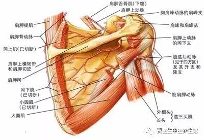 uterine artery embolisation combined with local