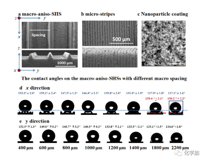 图1 多级各向异性超疏水表面的扫描电镜图和接触角照片图2 液滴的不同