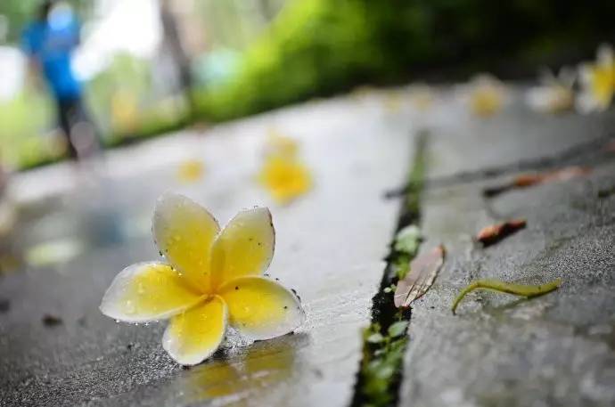 走在雨里