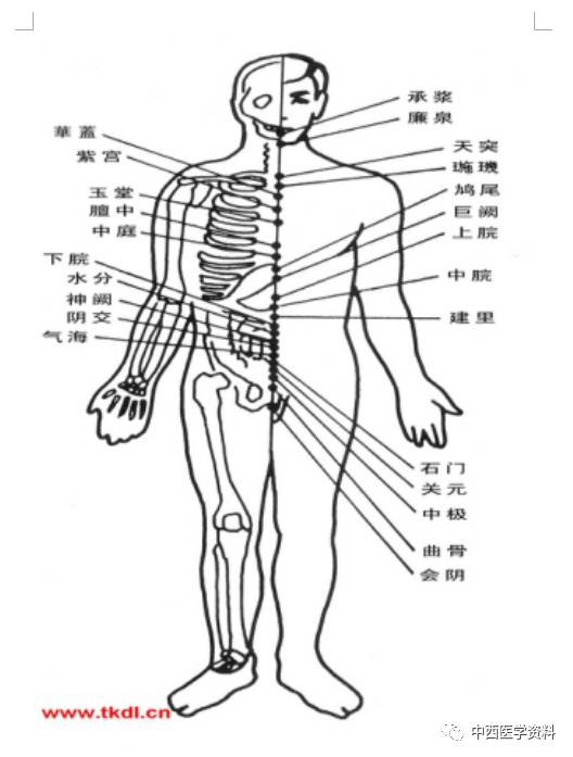 人体奇经八脉图奇经八脉,包括任脉,督脉,冲脉,带脉,阴跷脉,阳跷脉,阴