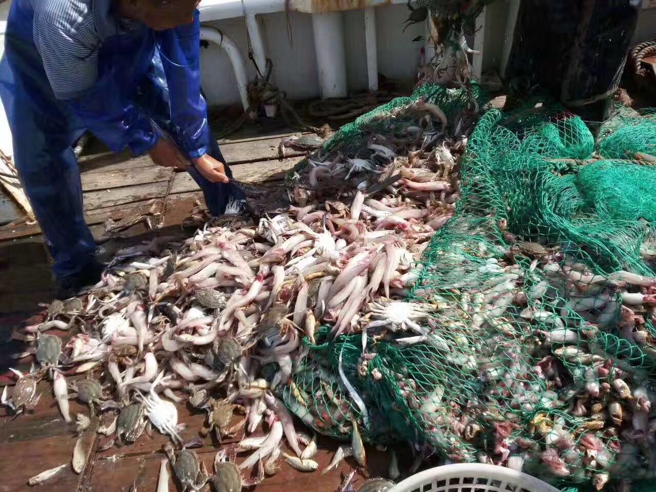 少量余位途客出海捕鱼8月19晚20碧海细沙看日出捕鱼海鲜大餐漫旅行