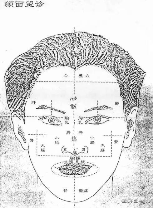 【望诊精要】面部色诊查病法(首都医科大学王鸿谟教授