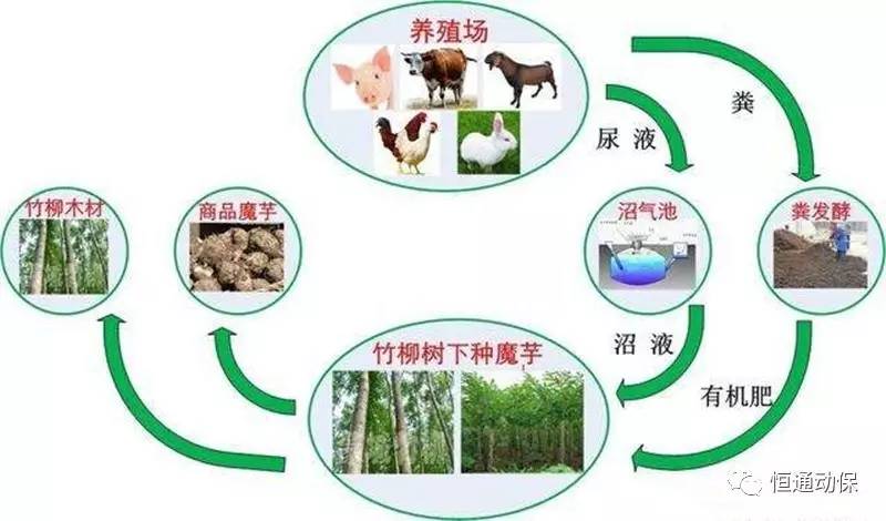 种养一体化畜禽养殖污染治理工程