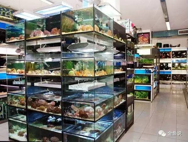 水族招聘_水族馆店招图片(2)