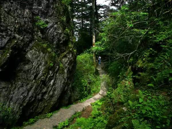 其他:薏仁米,莲子,黄石,九资何茯苓,湖北贝母,苎麻,黄麻,仙人掌茶,宜