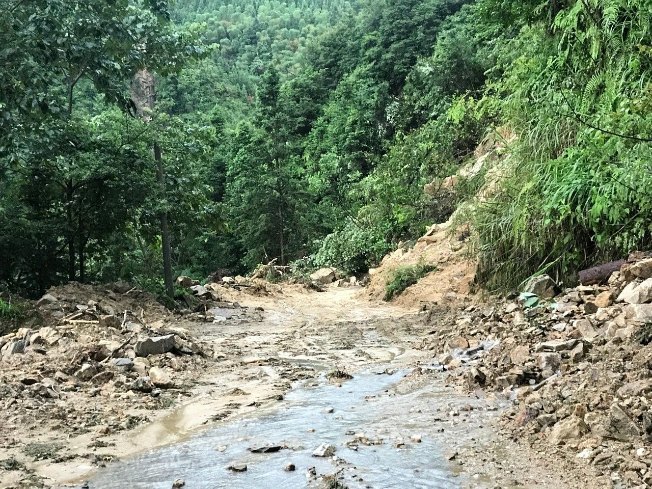 柳州融水突围记丨广西日报记者失联数十小时在穿越40处塌方后发回灾区