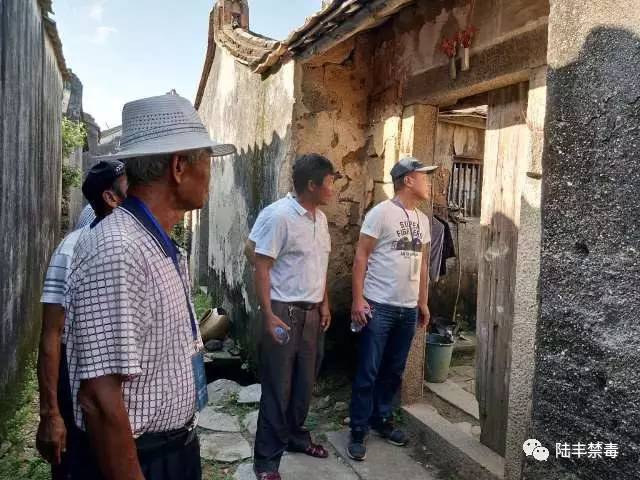 陆丰甲东雨亭村人口_陆丰甲东奎湖村图片(3)