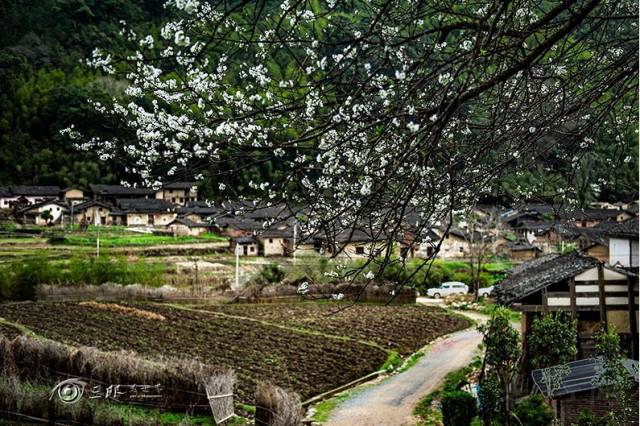 长汀县哪个村人口最多_长汀县地图