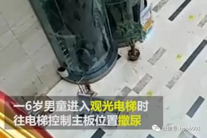 8月3日下午,浙江义乌,一名6岁男童进入观光电梯时,往电梯控制主板