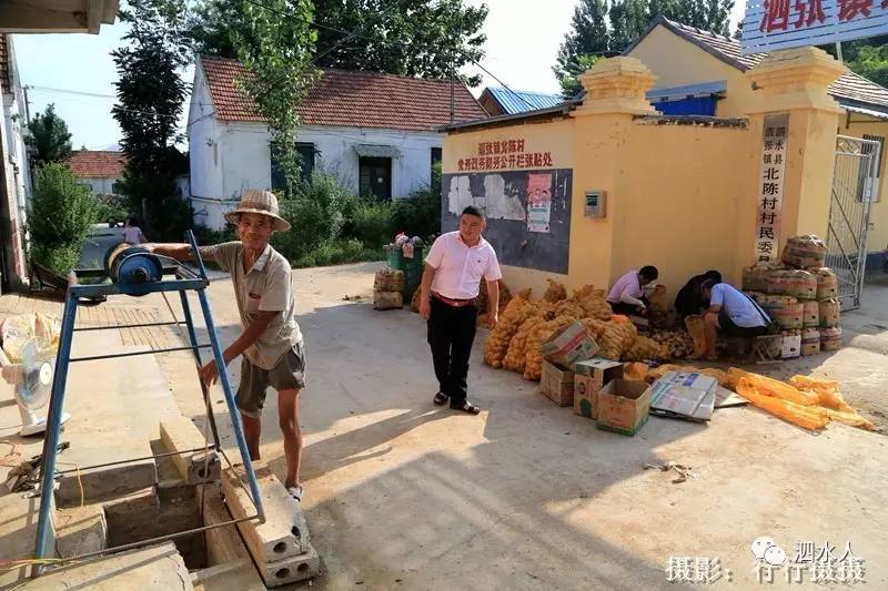 发现泗水泗张镇这个村的小河真的美醉了河里竟还有你想不到的原始神奇