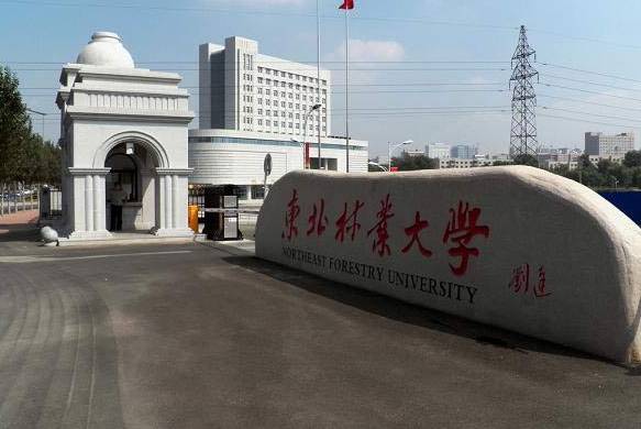 2019黑龙江大学排行_2019年黑龙江所有的大名单及排名 黑龙江所有的高校