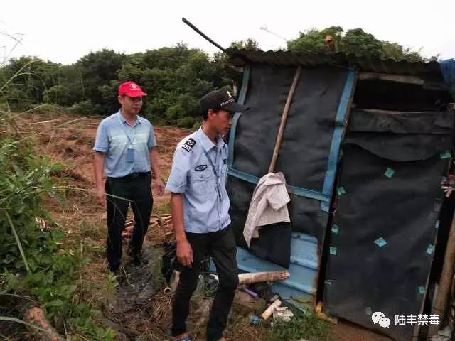 陆丰甲东雨亭村人口_陆丰甲东奎湖村图片(3)