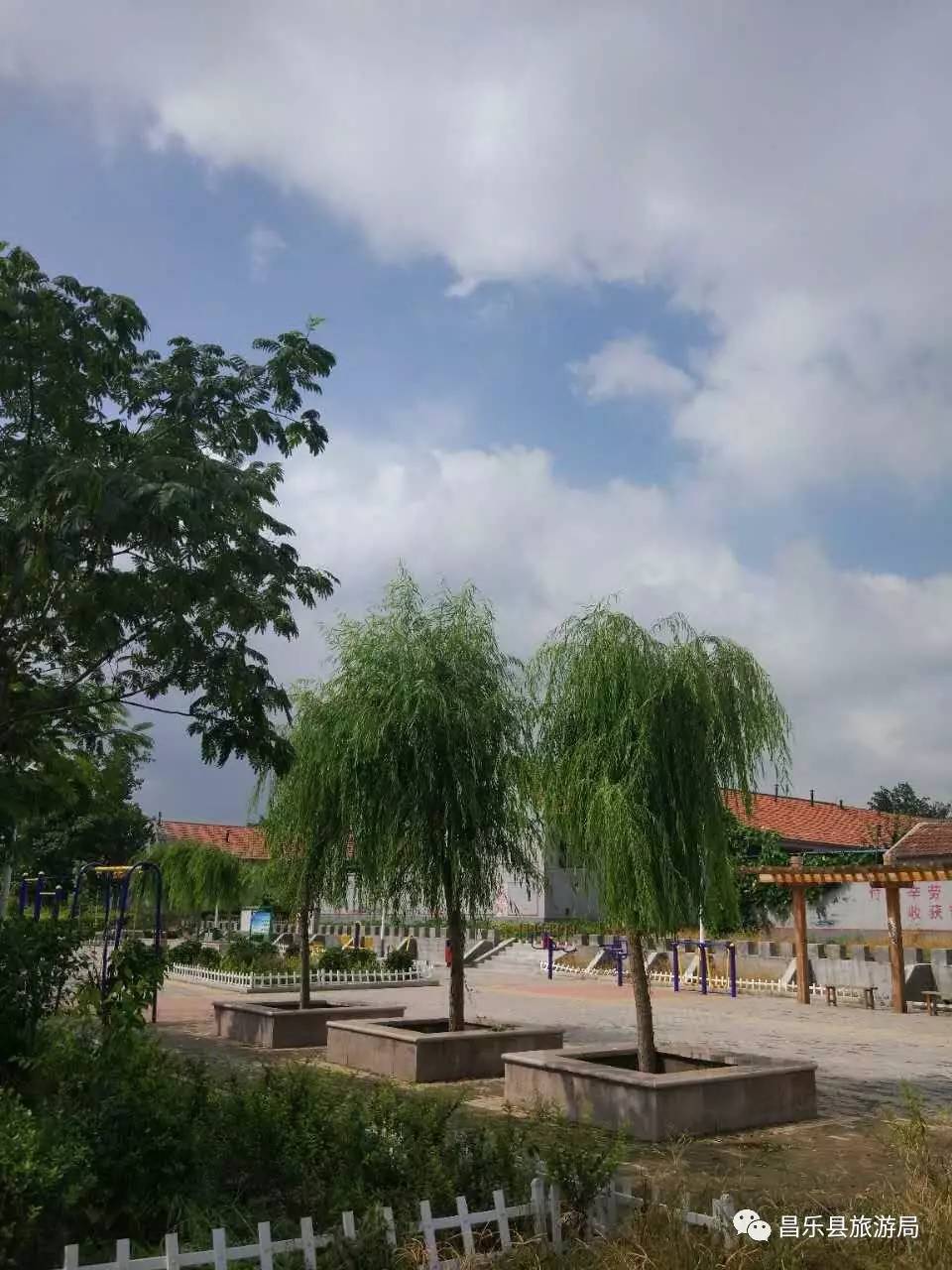 快来看,昌乐这些秋雨后的省级旅游特色村,真是美极了!