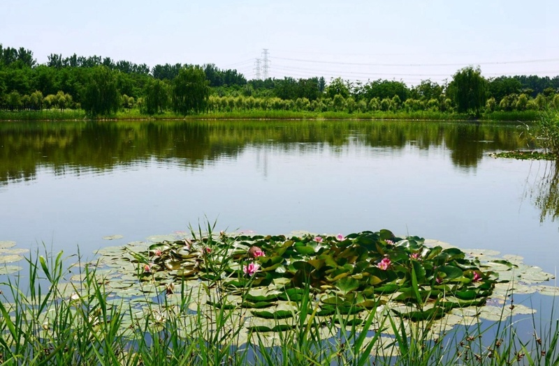 爱自由行:北京周边十大避暑湿地公园,陪家人游玩好去处