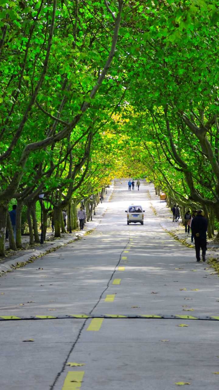 送出去能天天见的礼物是啥西南科技大学告诉你