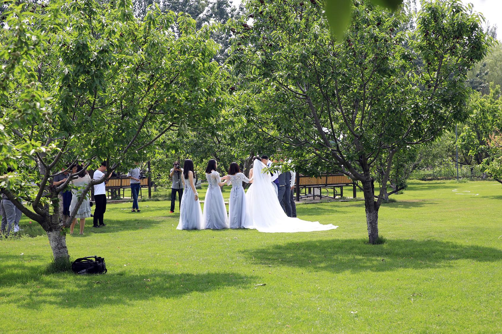 目前最流行最时尚的婚礼，就在蓝天白云下的喜庆堂庄园