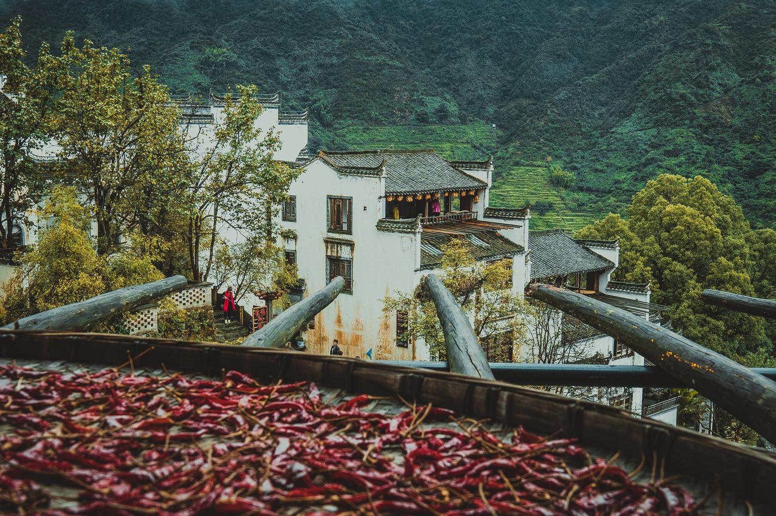 中国最美的乡村—婺源 - 知乎