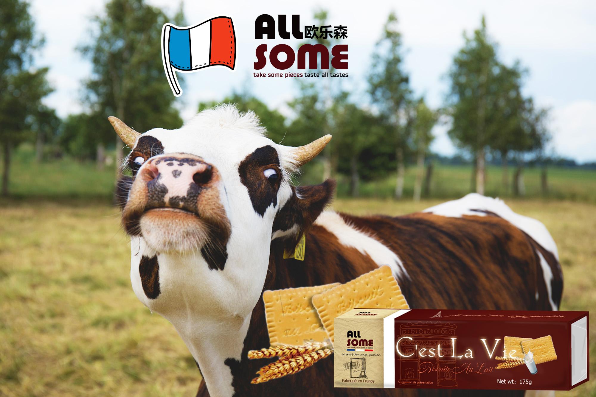 伊利纯牛奶在保质期内变质_质量万里行消费服务平台