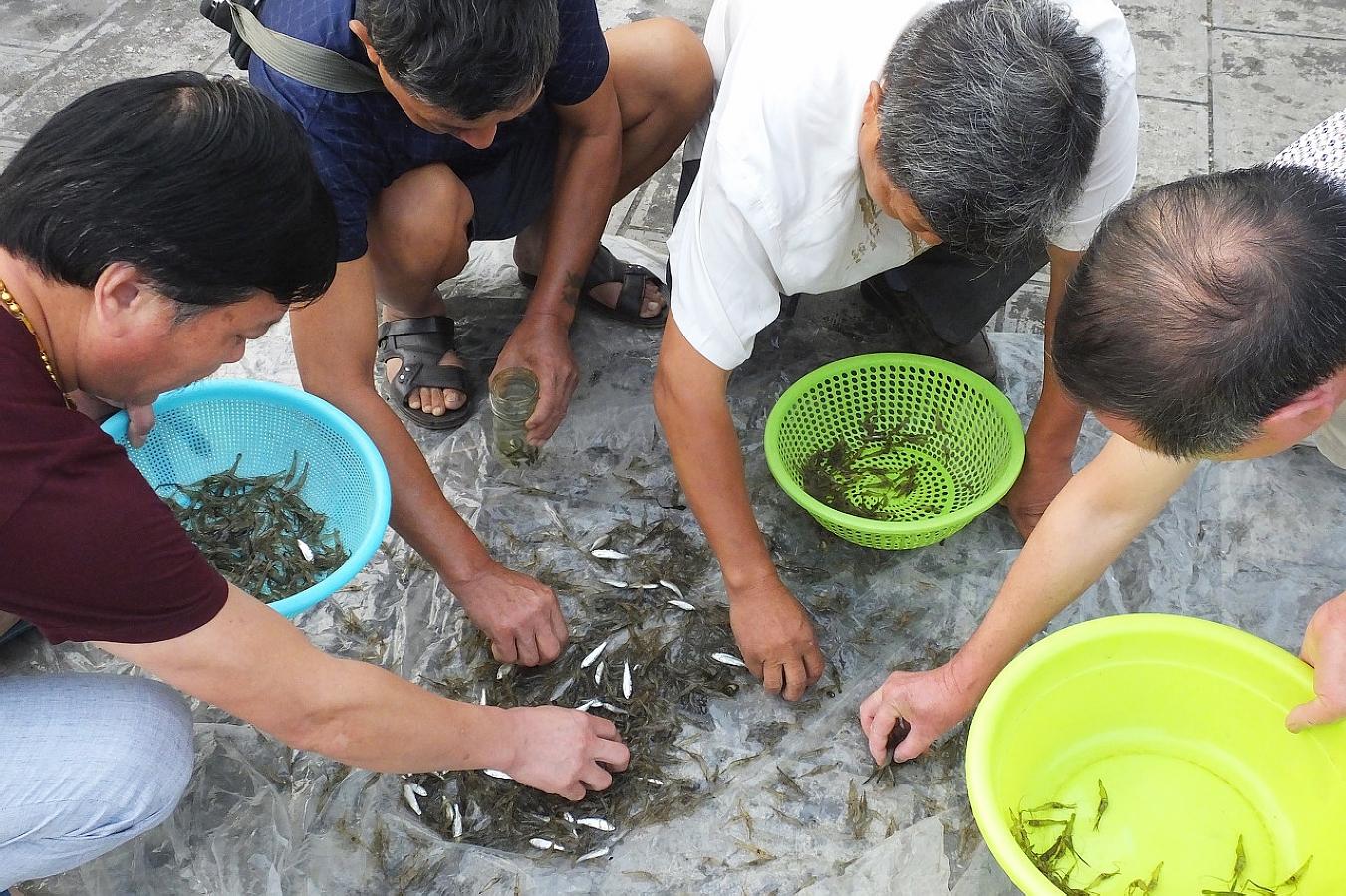 乡下野河，钓获满满一盆野鱼，还收获200元一斤的名贵稀有石花鱼