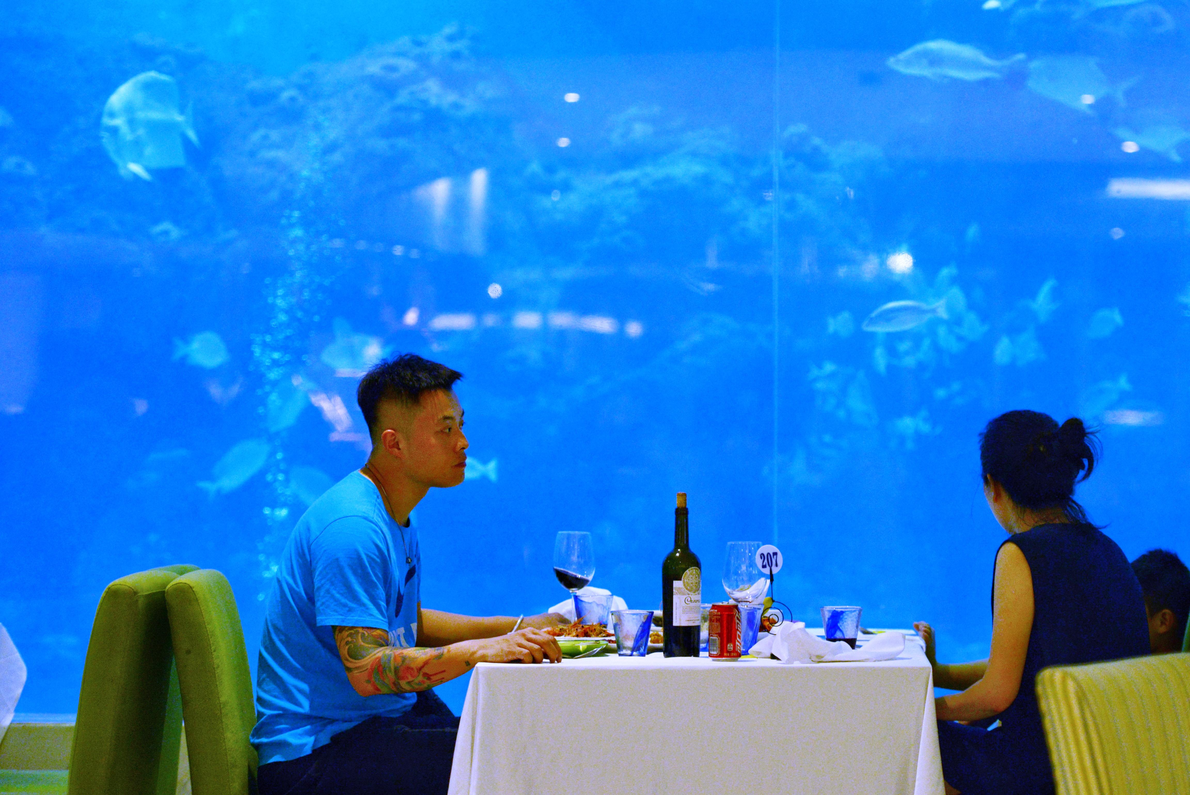 三亚海棠湾酒店攻略，天房洲际海底餐厅用餐，水族馆潜水之旅 _家庭