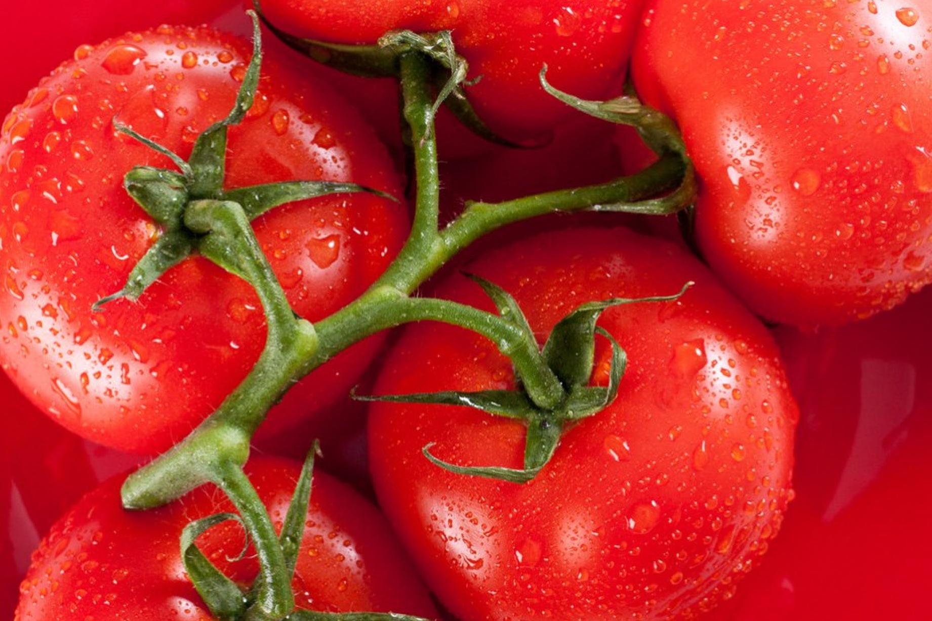 如何正确冷冻西红柿 延长到两周的番茄保存技术 疫情囤蔬菜技巧 - 知乎