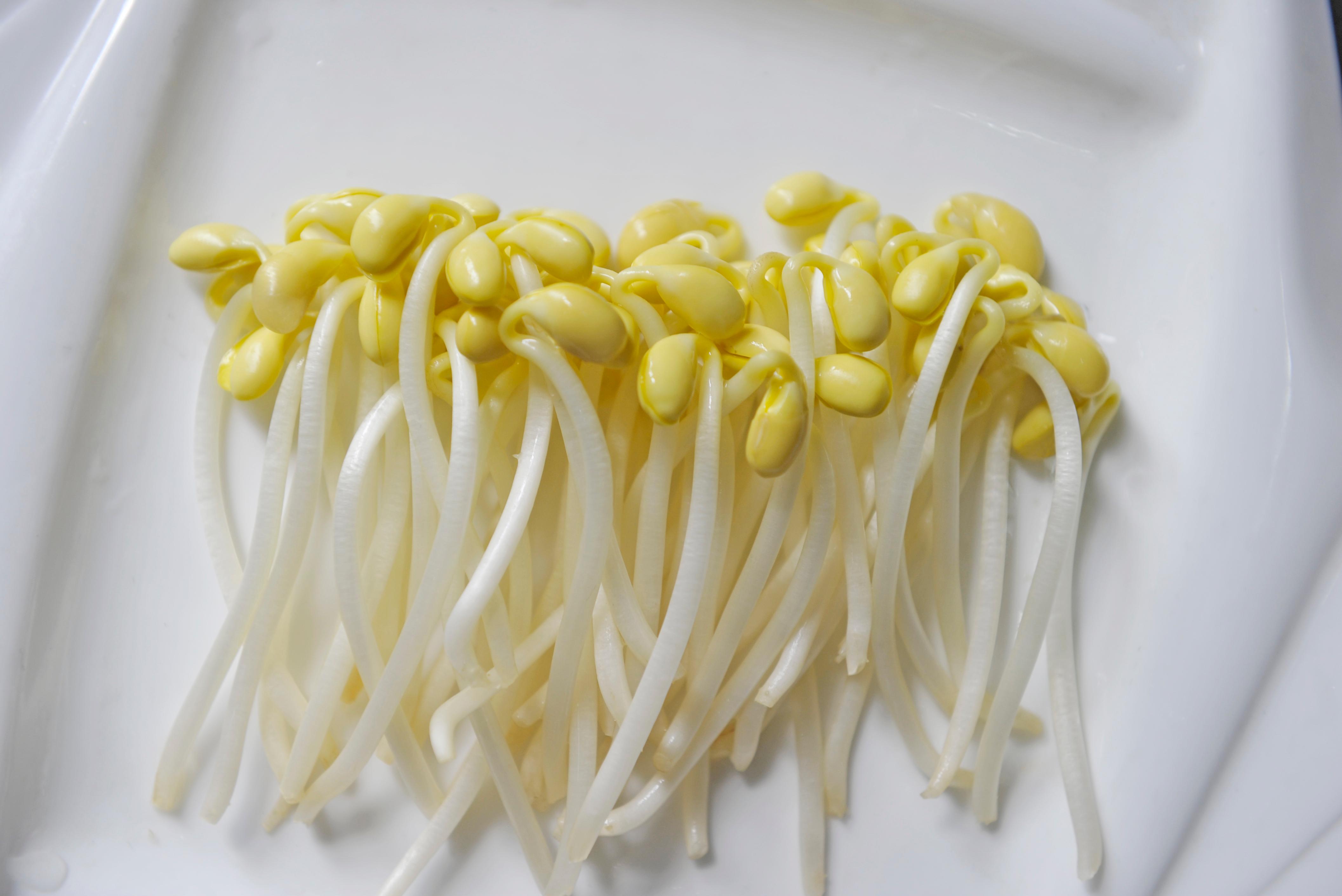 一个诀窍，教会你在家生黄豆芽，5天就能吃，用普通的豆子发黄豆芽的要点 - 哔哩哔哩
