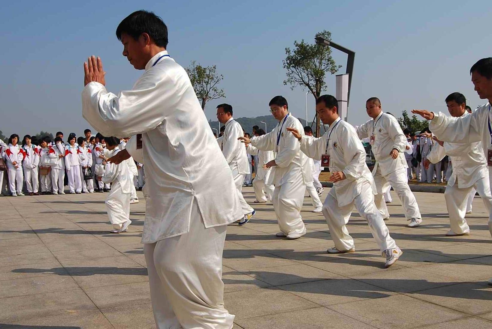 武汉市阳逻康和太极拳队2018联欢(扬氏太极拳37式)