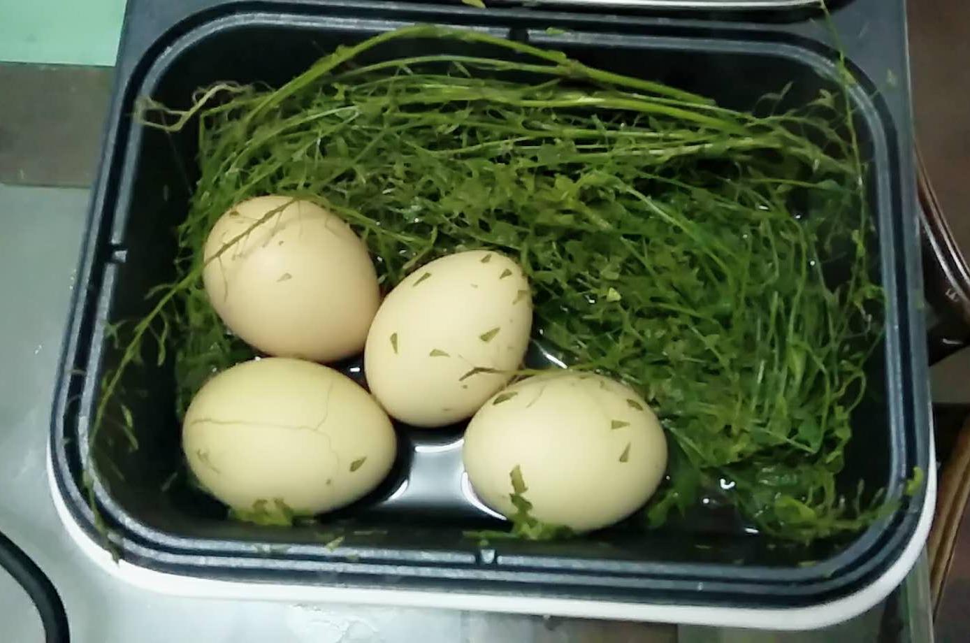 荠菜煮鸡蛋怎么做_荠菜煮鸡蛋的做法_豆果美食