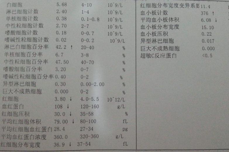 教你如何快速看懂：血常规报告单