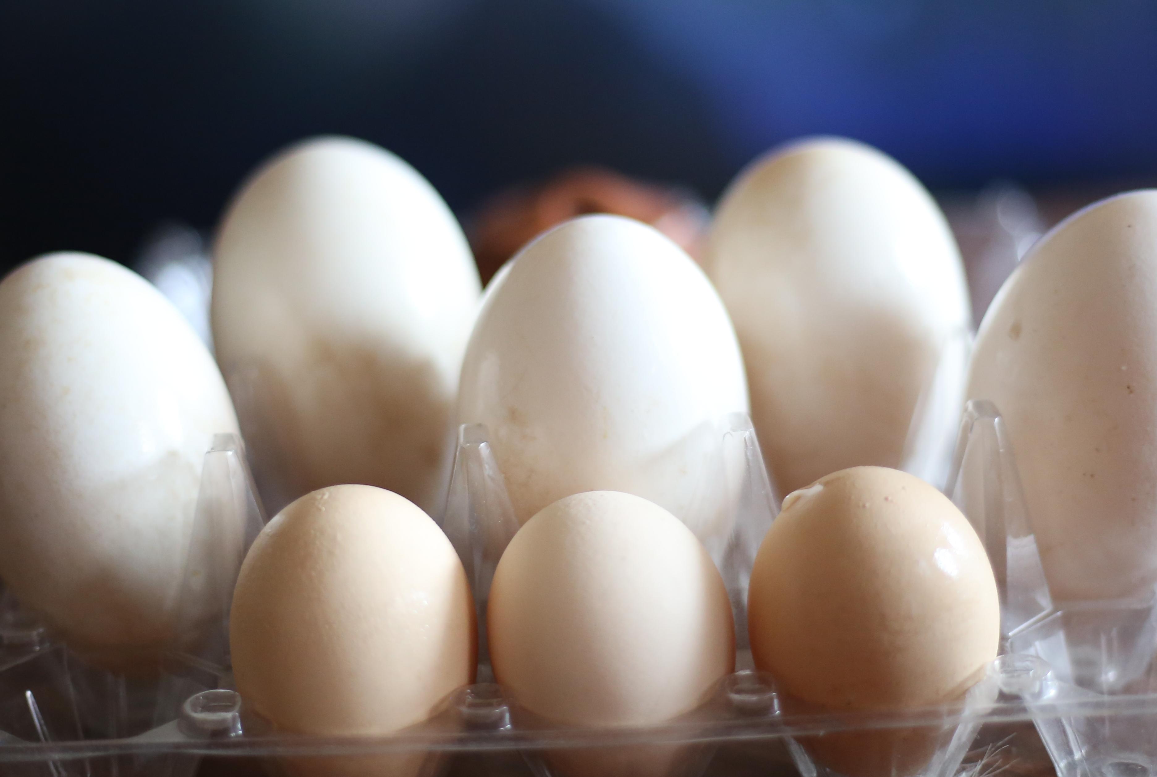 天麻炖天鹅蛋怎么做_天麻炖天鹅蛋的做法_豆果美食
