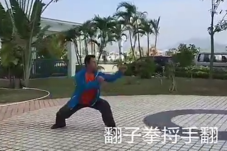 武术名家于伯谦弟子郭玉东演练的翻子拳_手机搜狐网