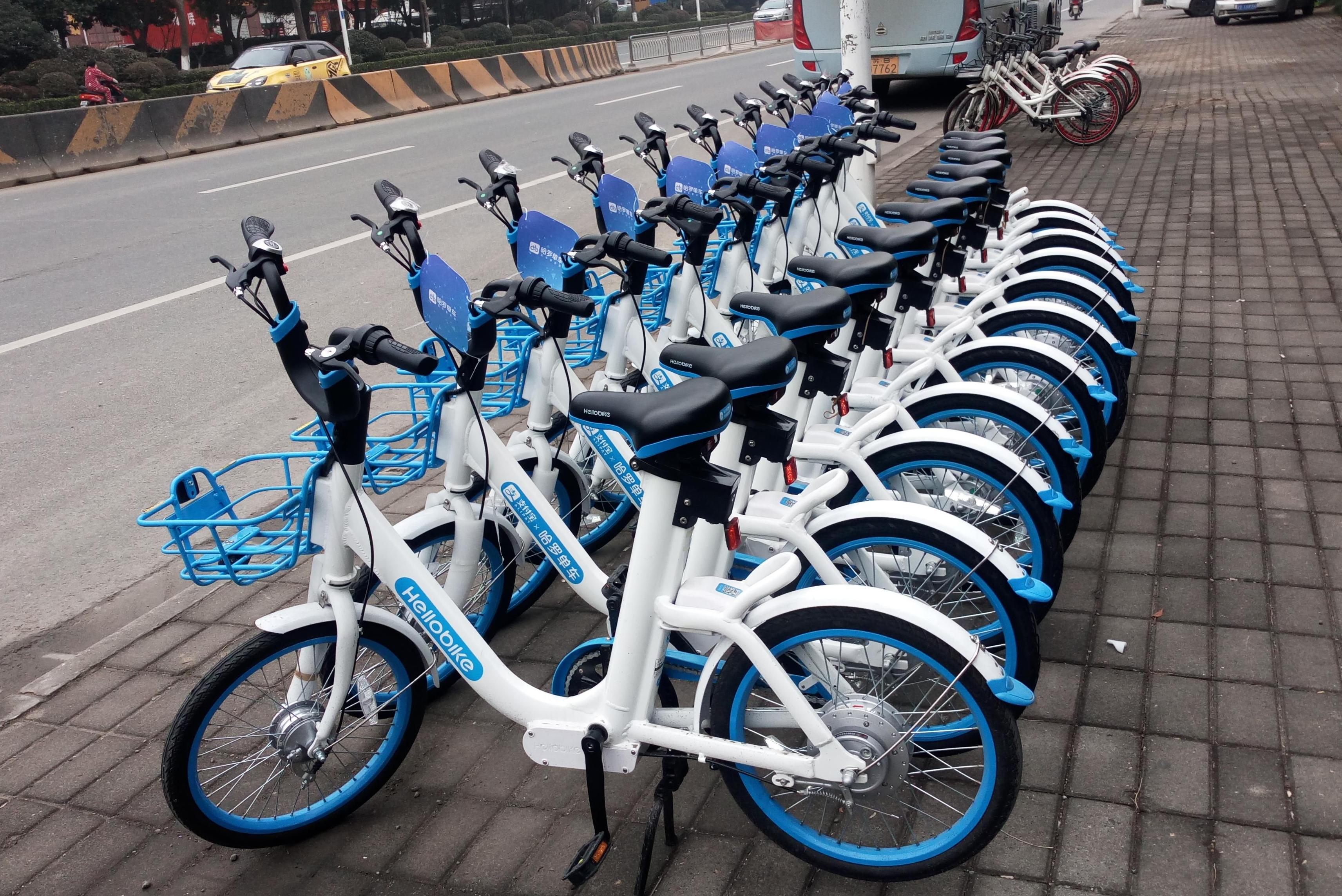 多达 235 辆的共享单车 既然可以停满 11 个北京鸟巢 - 新出行