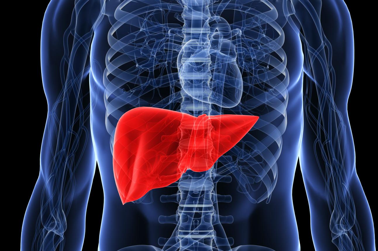 RNA Discovery May Lead to Better Diagnosis and Treatment of Liver Cancer