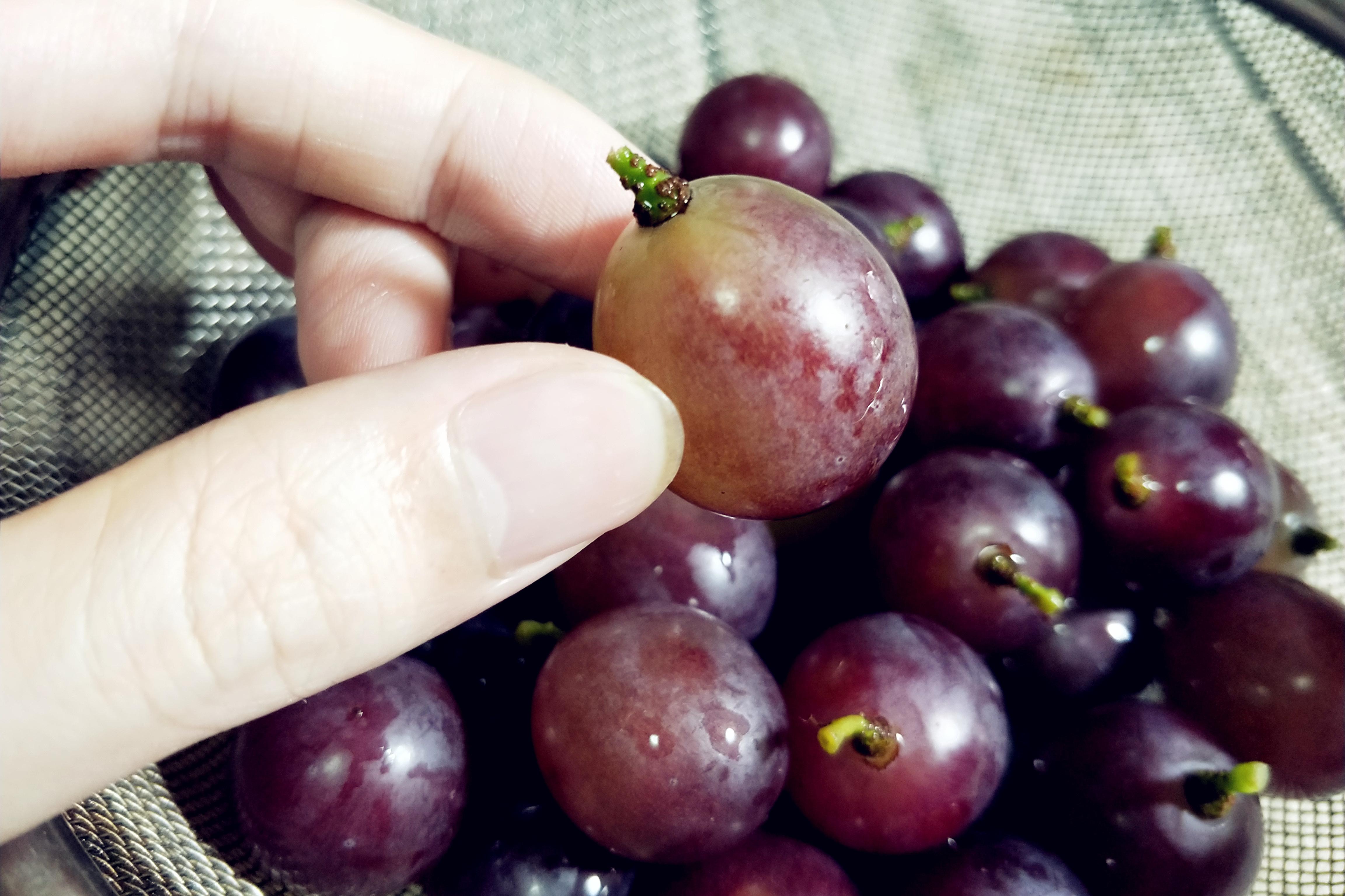 巧洗葡萄怎么做_巧洗葡萄的做法_豆果美食