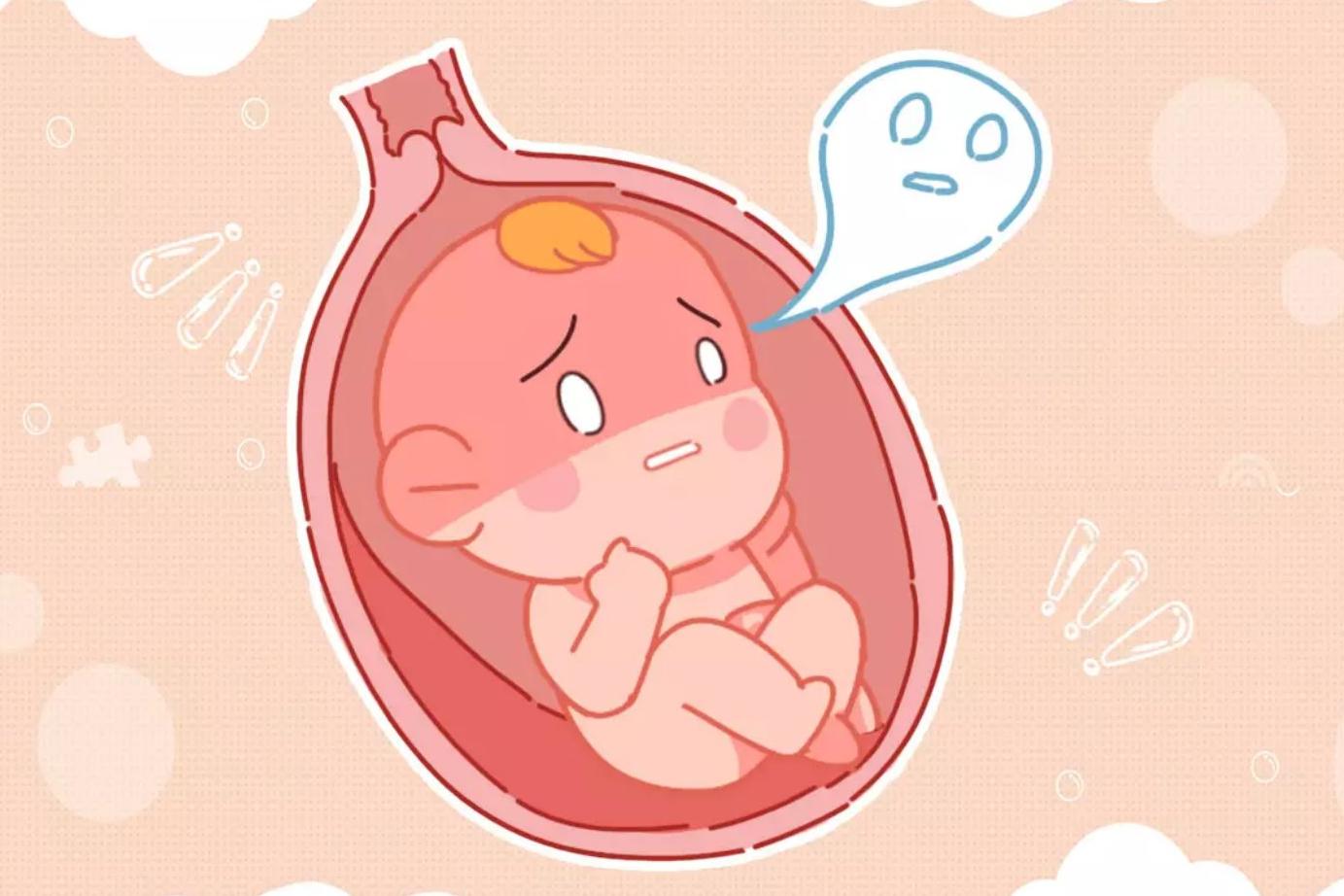 怀孕后多久开始数胎动？什么样的胎动才是正常的？
