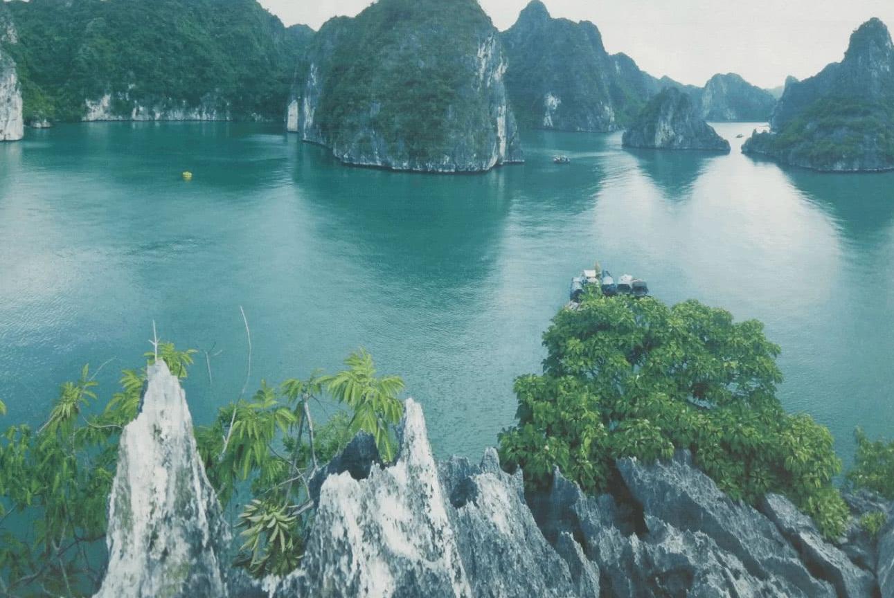 越南迎来旅游业重启 尽一切努力“赢”回游客 – Mega Story