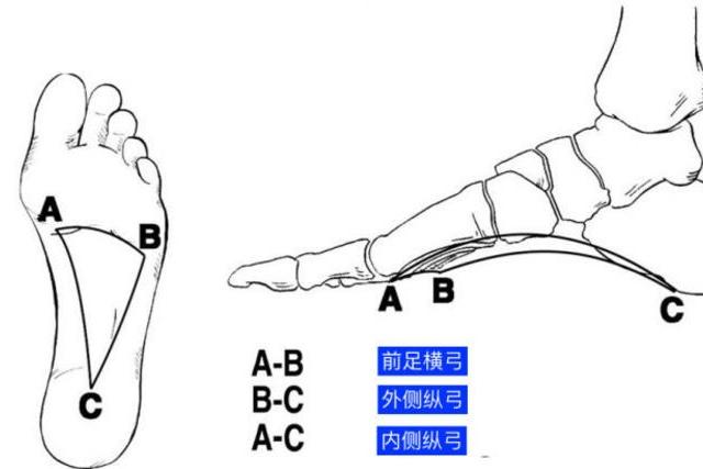 跑步还没跑多久就脚痛？其实是这里出了问题！_手机搜狐网