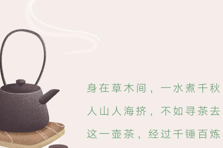 吃茶三千-茶里思学院，带你了解茶文化_手机搜狐网