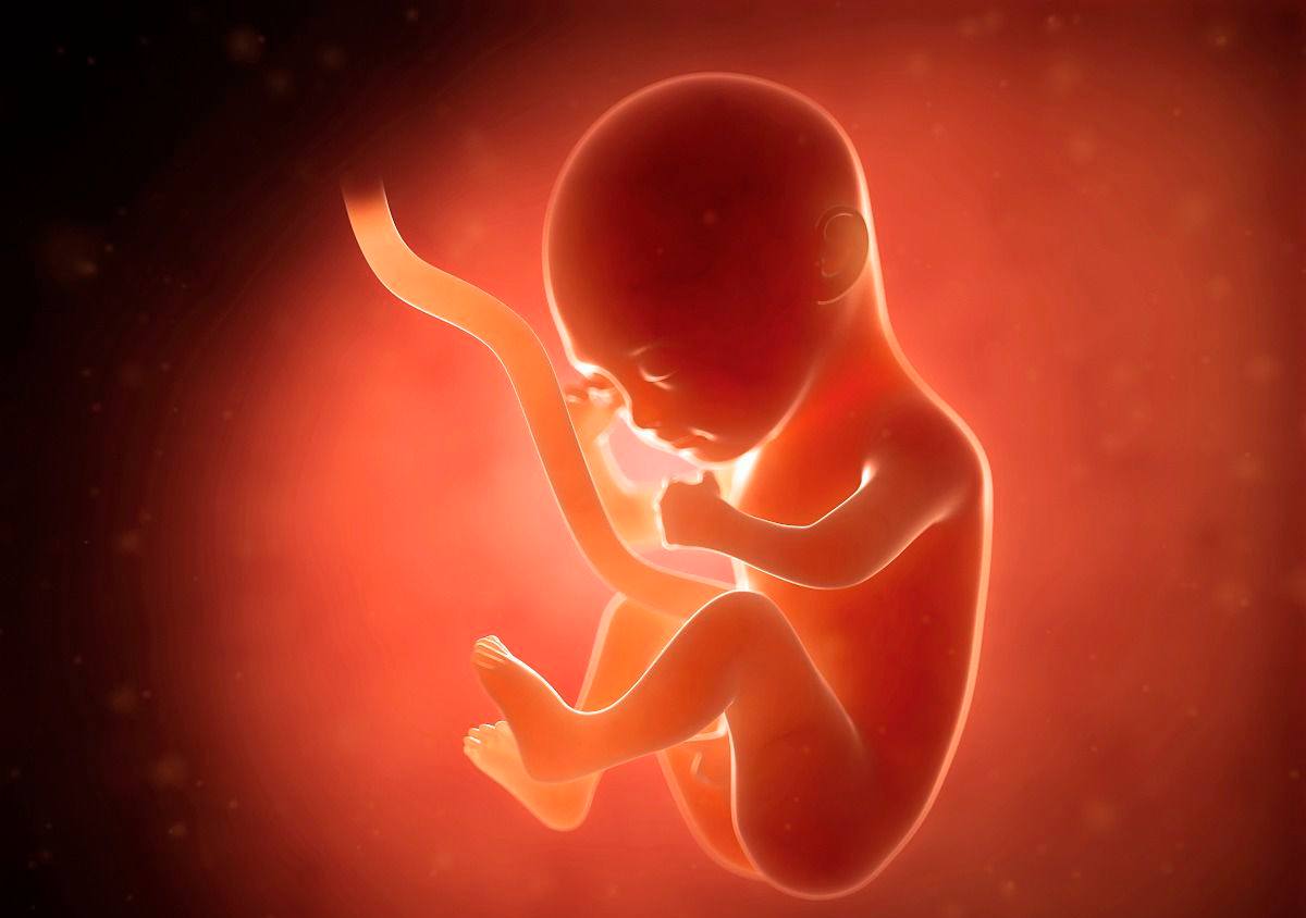 孕晚期的胎动有什么特征？ - 知乎