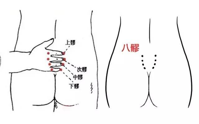臀部经络的位置和功效图片