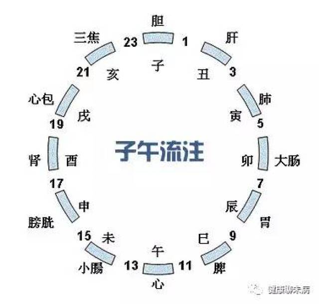 沙棘肽十二正經套操作手法