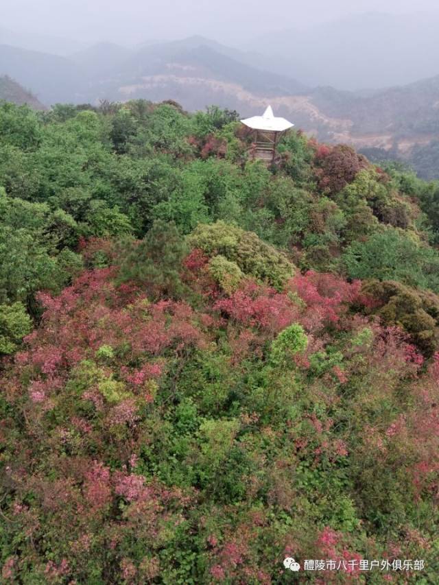 萍乡青草湖的风景图片