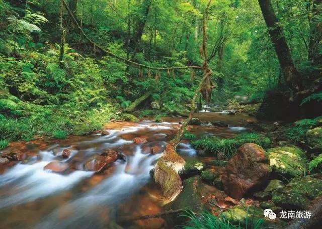 有安遠的三百山龍南縣的九連山大餘縣有梅關古驛道三百山為東江源頭