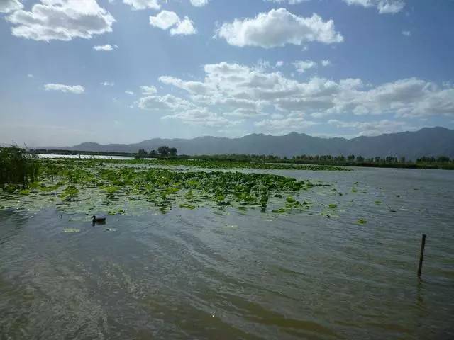 水墨施甸图片