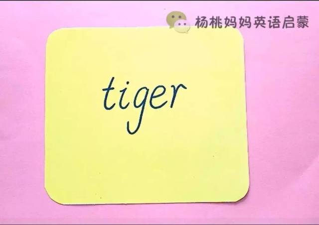 tiger单词设计图片