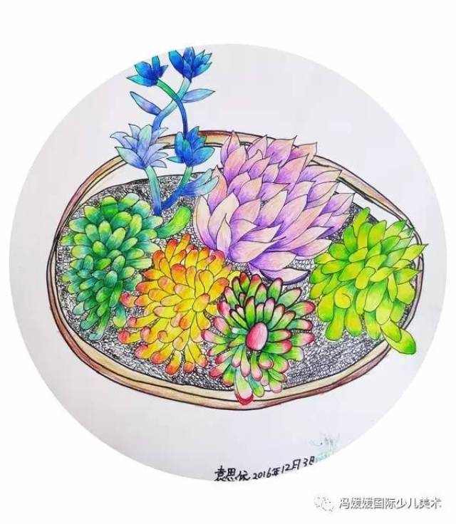 《彩铅多肉植物》