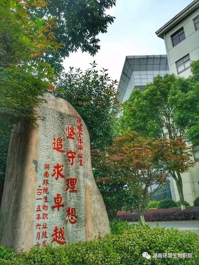 湘环学院图片